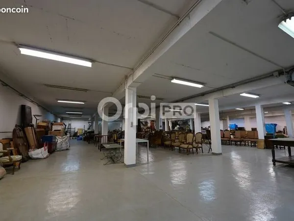 Local d'activité 2300 m² 