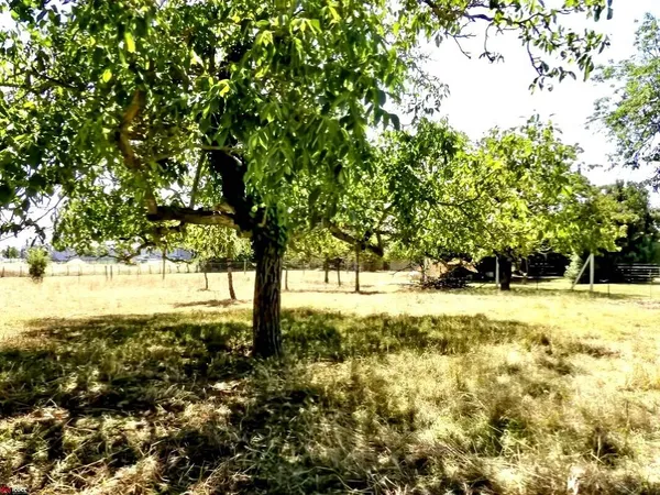 Propriété 