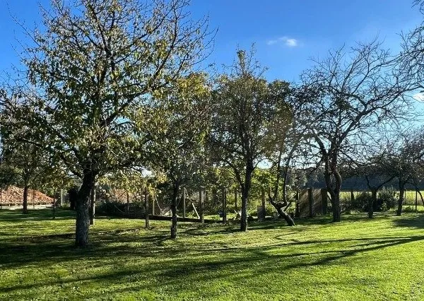 Terrain 1077 m² 