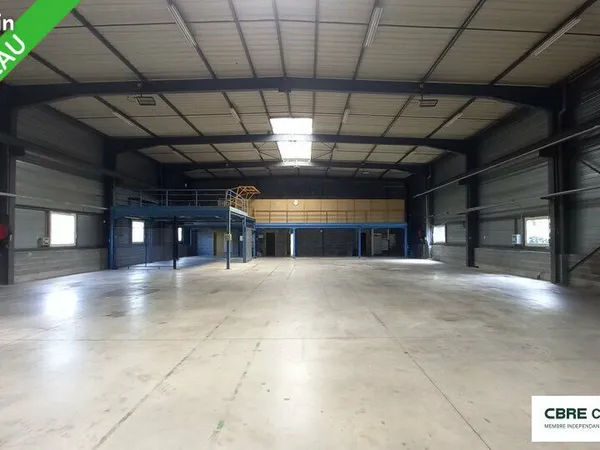 Local d'activité 1 951 m² 