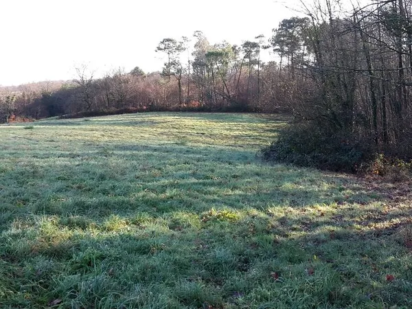Terrain cultivable 12 363 m3 mi-terre, mi-forêt à Misson 