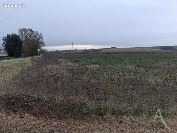 Terrain 3000 m² LE FAGET 