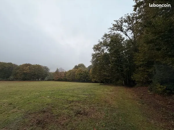 Grand terrain constructible Saint Jouvent 