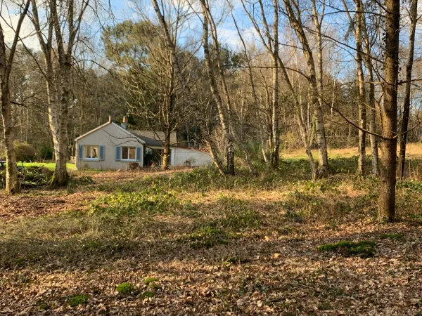 Vends maison 
