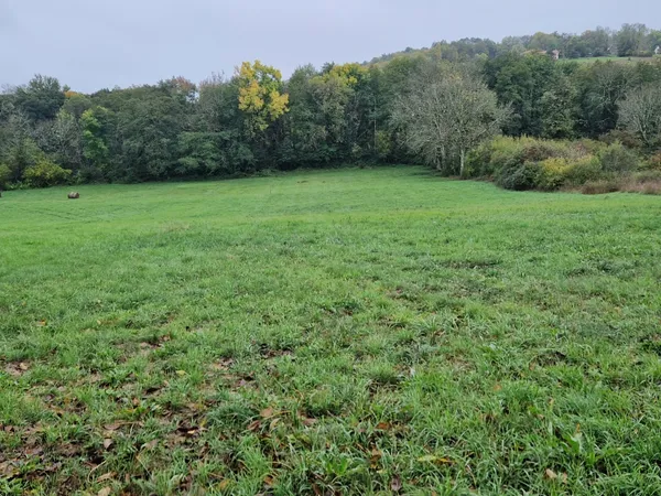 Terrain en individuel 4911 m² 