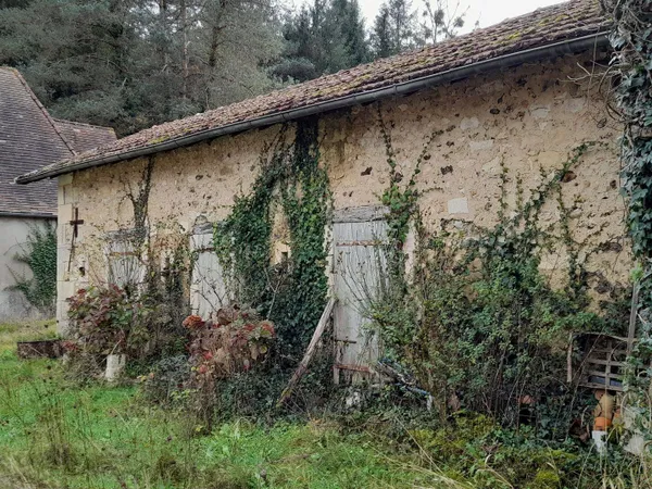Maison 1 pièce 