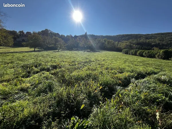 Terrain 7479 m² Balaguier-d'Olt 