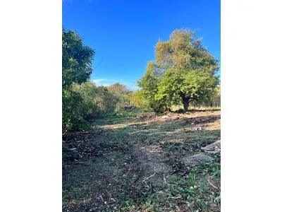 Letaye Saint-François : Terrain plat 729 m² 120 000 € 
