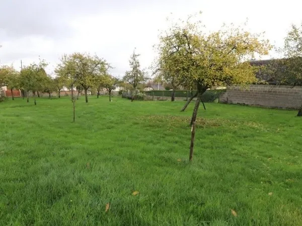 Terrain 1002 m² 