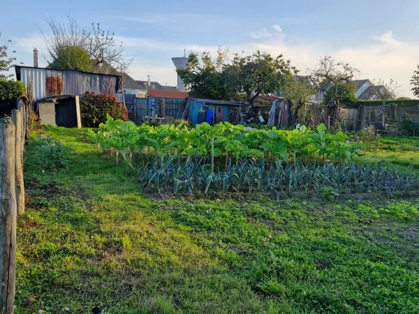 Terrain 1155 m² 