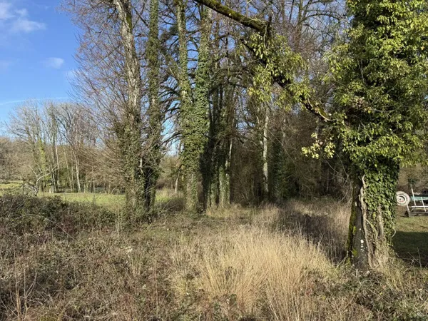 Terrain 5000 m² 