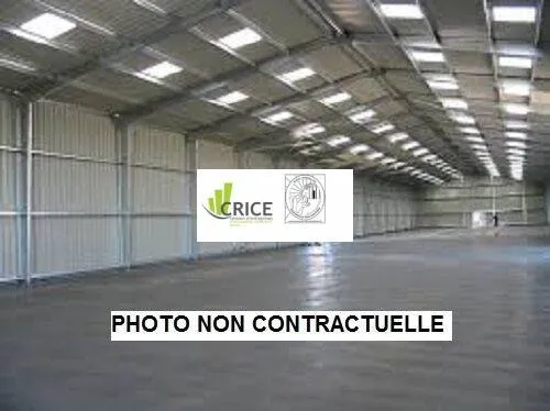Entrepôt 230 m² 