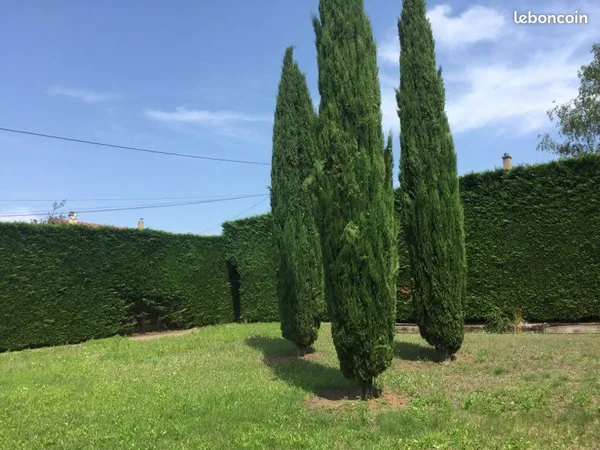 Terrain 525m2 
