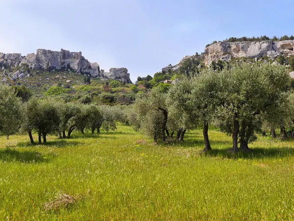 SAINT REMY DE PROVENCE T3 JARDIN 86 M2 TERRASSE 13 M2 