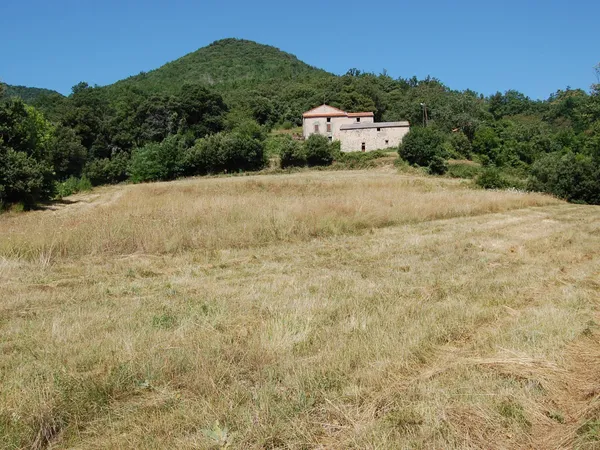 Mas, dépendances & forêt, pleine nature - Haut Vallespir 