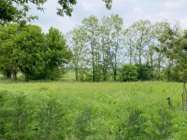 Terrain 1300 m² 