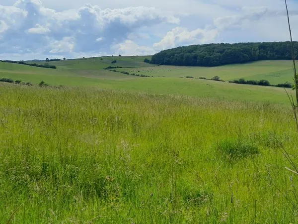 Terrain 1246 m² 