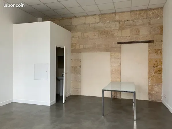 Bureau lumineux 35m2 face tram B chartrons 