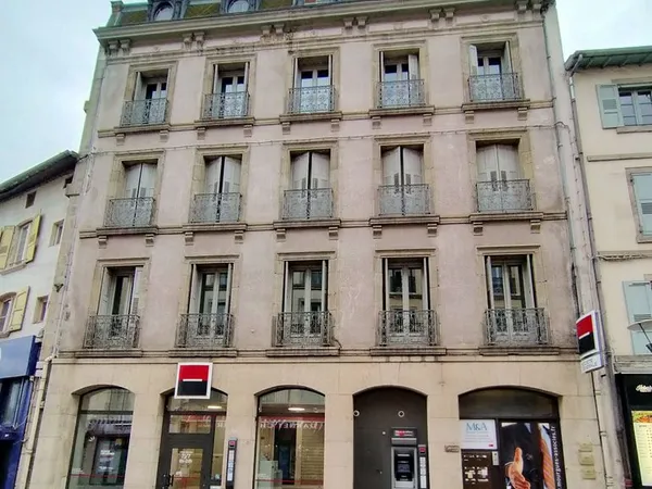 Grand appartement lumineux de 190 m² - Centre-ville Le Puy-en-Velay 
