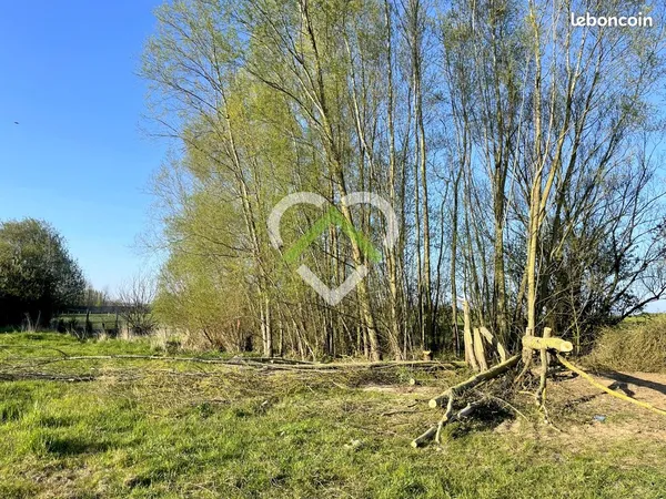 Terrain 925 m² Camphin-en-Pévèle 
