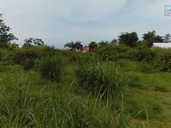 TERRAIN DE 7 690 m2 AU TAMPON BRAS CREUX 