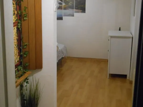 Colocation dans grande maison à Rixheim 