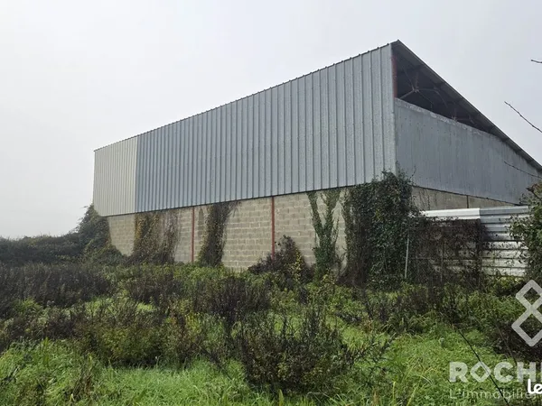 Immobilier professionnel Vente Paillé   30000€