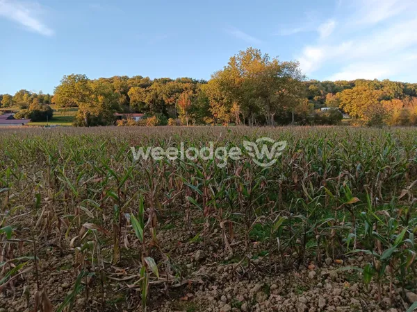 Terrain à vendre Les Tourreilles 