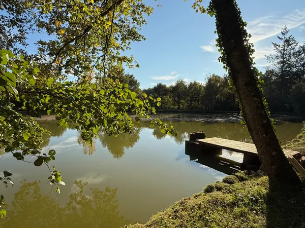 Loue étang en Sologne 