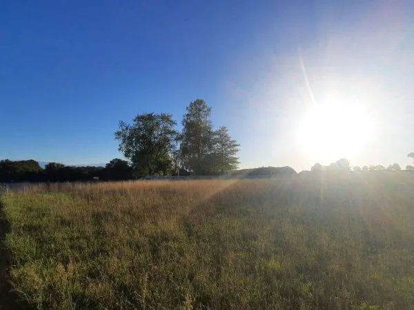 Terrain 1371 m²