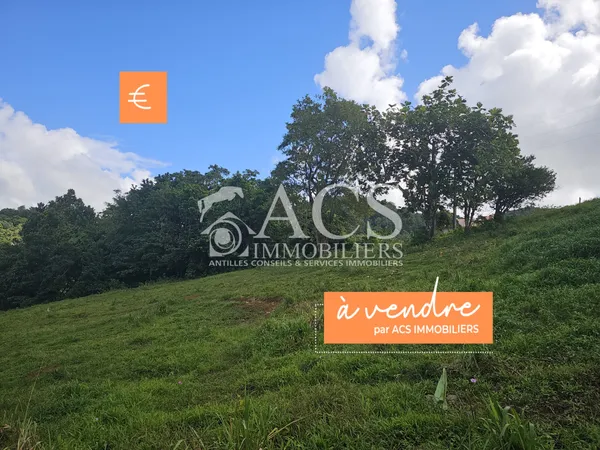 Terrain à bâtir de 1353 m2 dont 751 m2 constructibles - LE R 