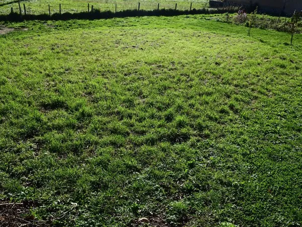 Terrain constructible 