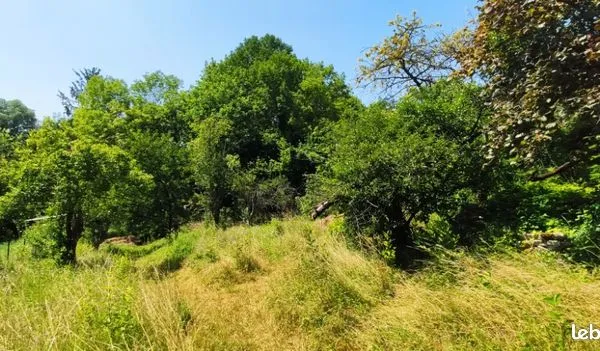 Terrain 550 m² 