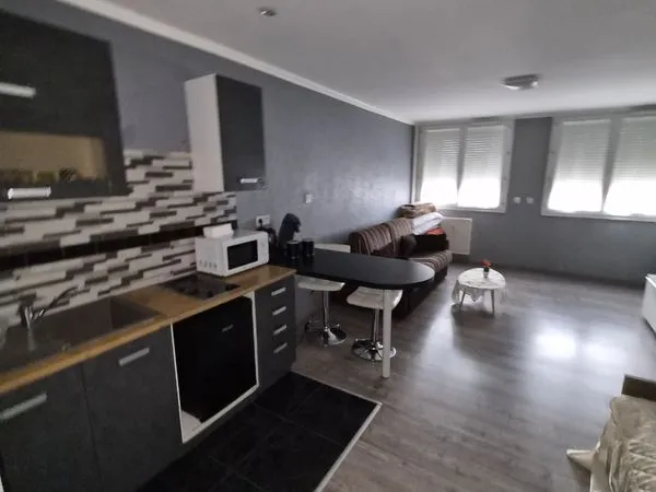 Grande studio rénové 