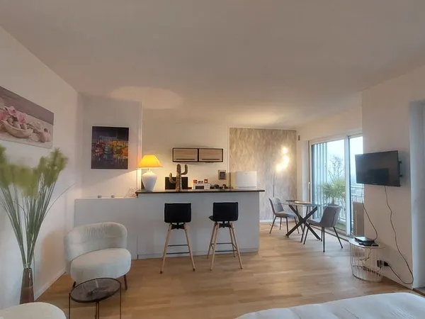 Studio Meublé 45 m² vue sur Lyon 