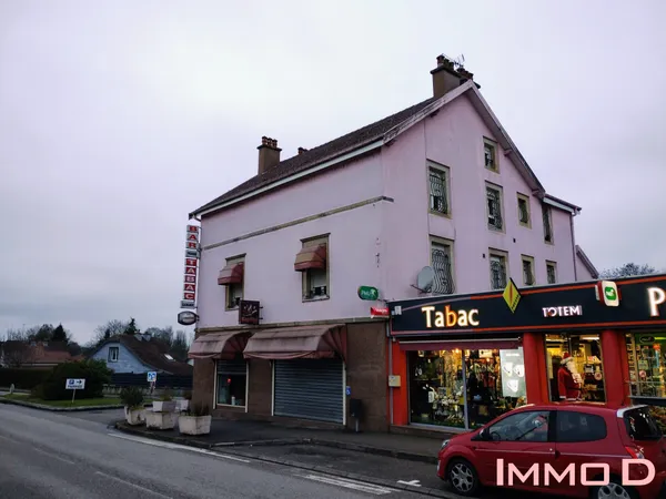 Immeuble Vente Épinal  428m² 319000€