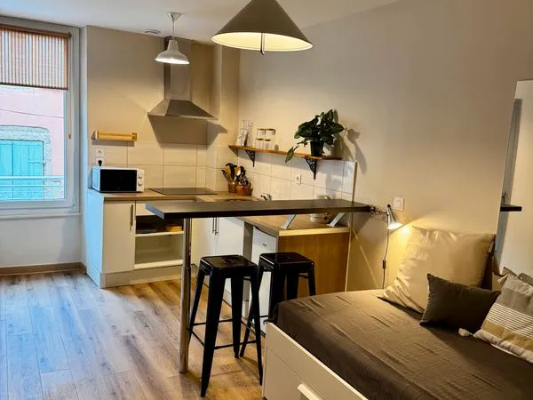 Studio meublé entièrement rénové - 18 m² 