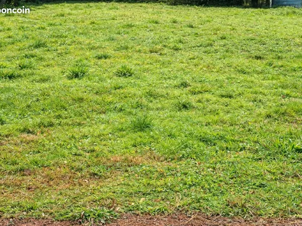 Terrain 593 m² Breuillet 