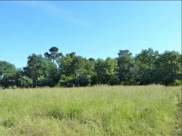 Terrain 832 m² 