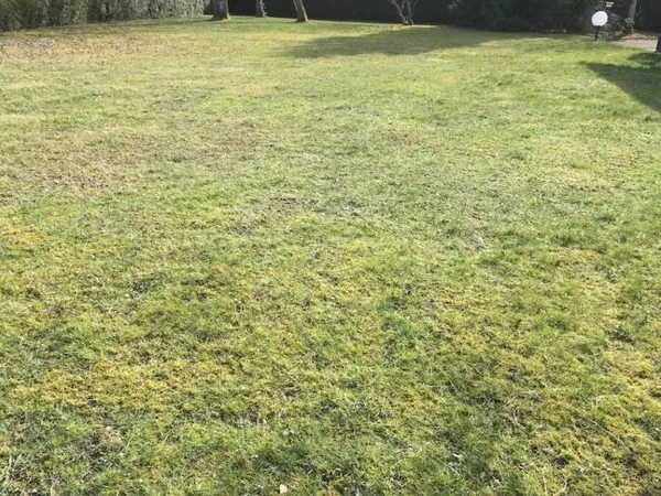 LIVRY-GARGAN Terrain constructible 175 m2 