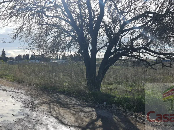 Terrain Vente Manduel  2657m² 28000€