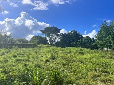 RARE ! Terrain 770 m² en lotissement Baie-Mahault 220 475 euros 