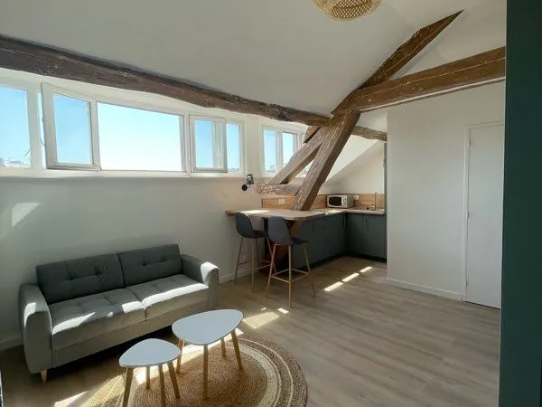 Appartement 33m2 meublés hypercentre 