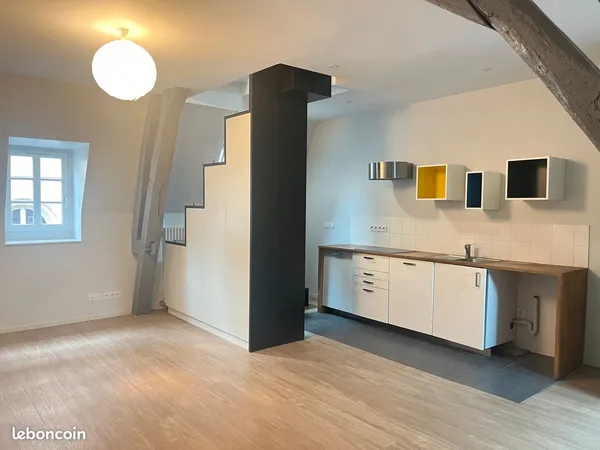 Dijon hypercentre - quartier antiquaire - appartement duplex t2 hotel particulier - 1 chambre - 42 