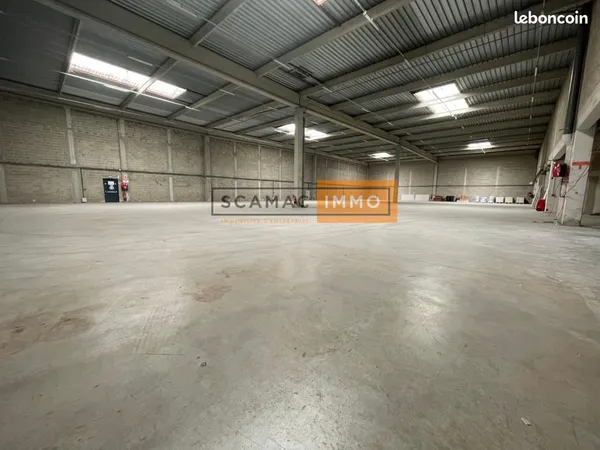 Local d'activité 1 165 m² 
