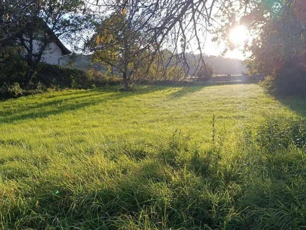 Propriété 1 pièce 