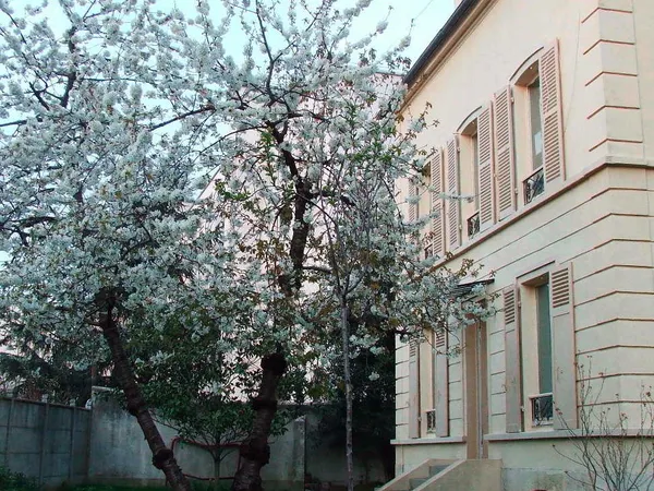 Maison 1 pièce 
