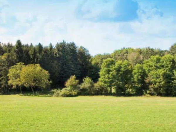 Terrain 463 m² 