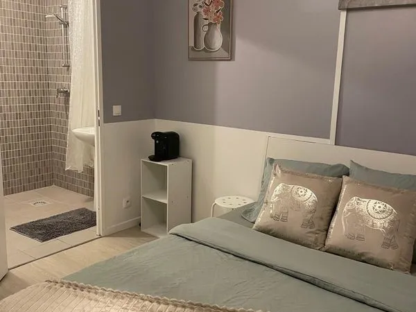 Location studio meublé Val d'Europe 