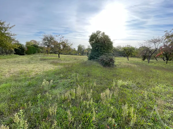 Terrain 2305 m2 